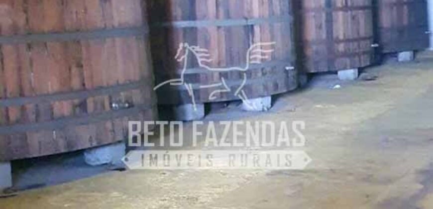 Venda do Maior Alambique Artesanal do Brasil Total de 28.000 m² | Gaspar/ SP