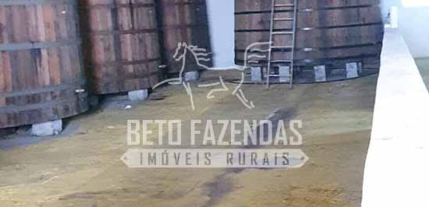 Venda do Maior Alambique Artesanal do Brasil Total de 28.000 m² | Gaspar/ SP