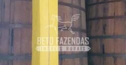 Venda do Maior Alambique Artesanal do Brasil Total de 28.000 m² | Gaspar/ SP