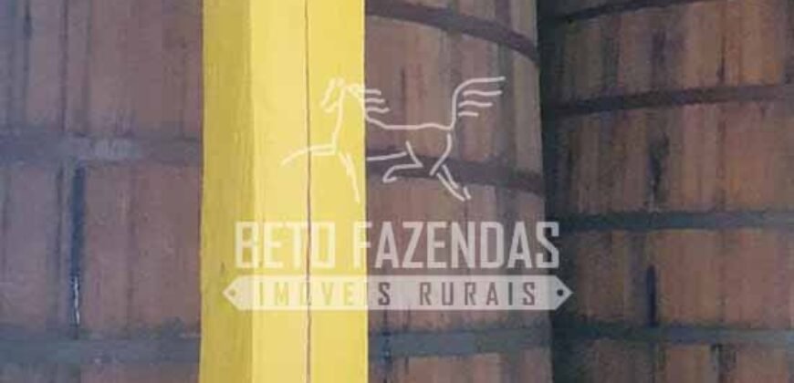 Venda do Maior Alambique Artesanal do Brasil Total de 28.000 m² | Gaspar/ SP