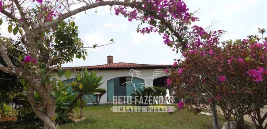 Venda do Maior Alambique Artesanal do Brasil Total de 28.000 m² | Gaspar/ SP