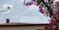 Venda do Maior Alambique Artesanal do Brasil Total de 28.000 m² | Gaspar/ SP