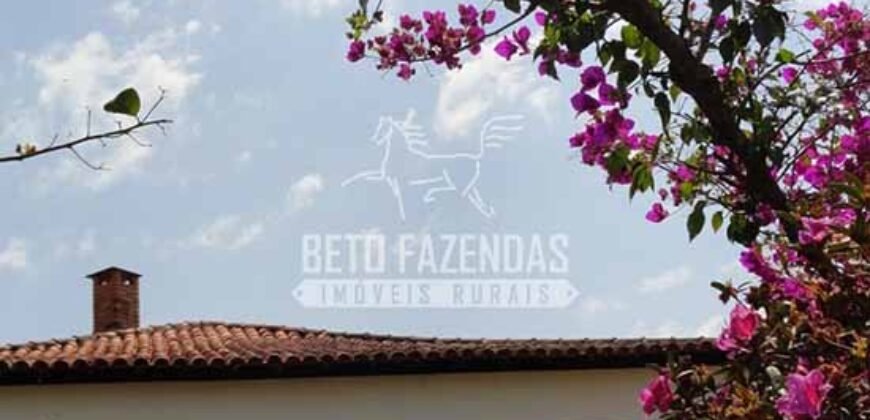 Venda do Maior Alambique Artesanal do Brasil Total de 28.000 m² | Gaspar/ SP