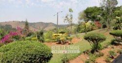 Venda do Maior Alambique Artesanal do Brasil Total de 28.000 m² | Gaspar/ SP