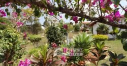 Venda do Maior Alambique Artesanal do Brasil Total de 28.000 m² | Gaspar/ SP