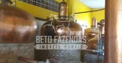 Venda do Maior Alambique Artesanal do Brasil Total de 28.000 m² | Gaspar/ SP