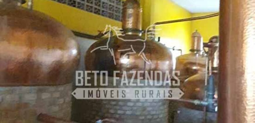 Venda do Maior Alambique Artesanal do Brasil Total de 28.000 m² | Gaspar/ SP