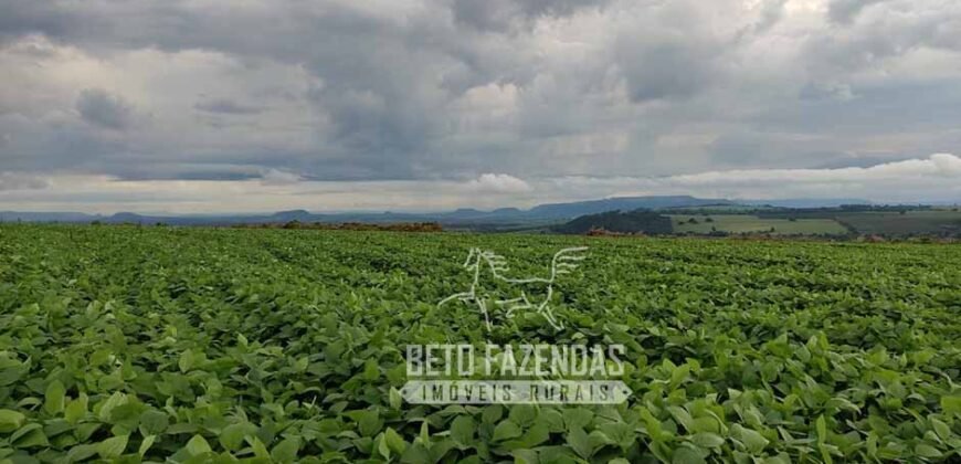 Fazenda Produtiva 303 Alqueires Lavoura de Cana | Ribeirão Preto/ SP