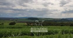 Fazenda Produtiva 303 Alqueires Lavoura de Cana | Ribeirão Preto/ SP