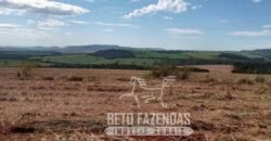 Fazenda Produtiva 303 Alqueires Lavoura de Cana | Ribeirão Preto/ SP