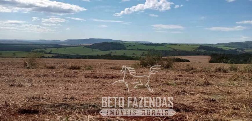 Fazenda Produtiva 303 Alqueires Lavoura de Cana | Ribeirão Preto/ SP