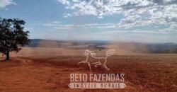 Fazenda Produtiva 303 Alqueires Lavoura de Cana | Ribeirão Preto/ SP