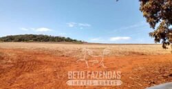 Fazenda Produtiva 303 Alqueires Lavoura de Cana | Ribeirão Preto/ SP