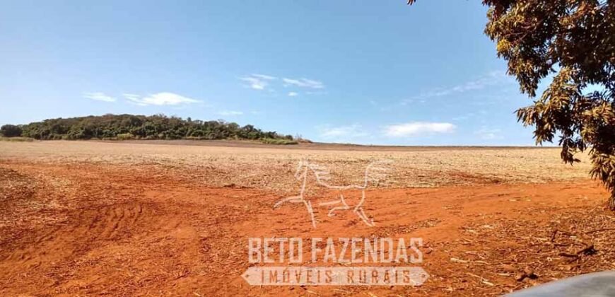 Fazenda Produtiva 303 Alqueires Lavoura de Cana | Ribeirão Preto/ SP