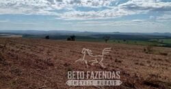 Fazenda Produtiva 303 Alqueires Lavoura de Cana | Ribeirão Preto/ SP