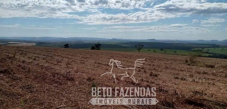 Fazenda Produtiva 303 Alqueires Lavoura de Cana | Ribeirão Preto/ SP