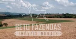 Fazenda Produtiva 303 Alqueires Lavoura de Cana | Ribeirão Preto/ SP