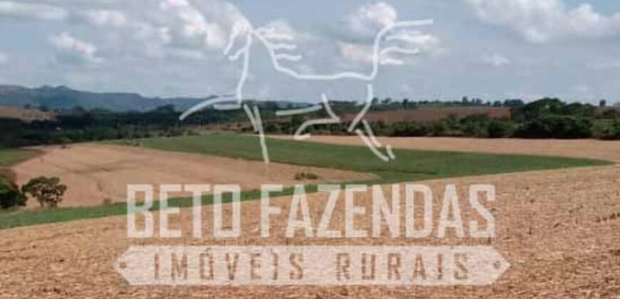 Fazenda Produtiva 303 Alqueires Lavoura de Cana | Ribeirão Preto/ SP