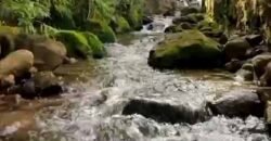 Fazenda Exclusiva à Venda 193.600 m² Empreendimento Turístico | Trajano de Moraes/RJ Fazenda Exclusiva à Venda 193.600 m² Empreendimento Turístico | Trajano de Moraes/RJ