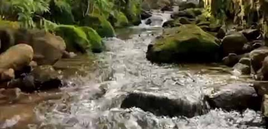 Fazenda Exclusiva à Venda 193.600 m² Empreendimento Turístico | Trajano de Moraes/RJ Fazenda Exclusiva à Venda 193.600 m² Empreendimento Turístico | Trajano de Moraes/RJ