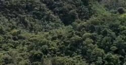 Fazenda Exclusiva à Venda 193.600 m² Empreendimento Turístico | Trajano de Moraes/RJ Fazenda Exclusiva à Venda 193.600 m² Empreendimento Turístico | Trajano de Moraes/RJ