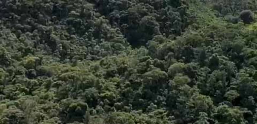 Fazenda Exclusiva à Venda 193.600 m² Empreendimento Turístico | Trajano de Moraes/RJ Fazenda Exclusiva à Venda 193.600 m² Empreendimento Turístico | Trajano de Moraes/RJ