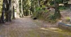 Fazenda Exclusiva à Venda 193.600 m² Empreendimento Turístico | Trajano de Moraes/RJ Fazenda Exclusiva à Venda 193.600 m² Empreendimento Turístico | Trajano de Moraes/RJ