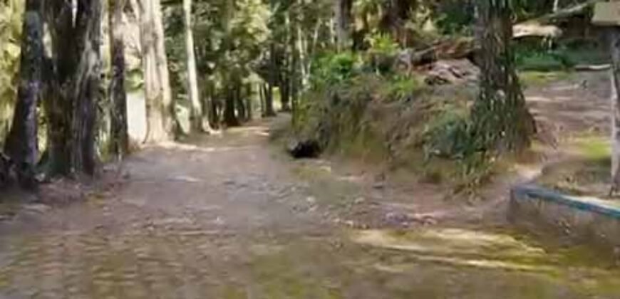 Fazenda Exclusiva à Venda 193.600 m² Empreendimento Turístico | Trajano de Moraes/RJ Fazenda Exclusiva à Venda 193.600 m² Empreendimento Turístico | Trajano de Moraes/RJ