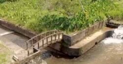 Fazenda Exclusiva à Venda 193.600 m² Empreendimento Turístico | Trajano de Moraes/RJ Fazenda Exclusiva à Venda 193.600 m² Empreendimento Turístico | Trajano de Moraes/RJ