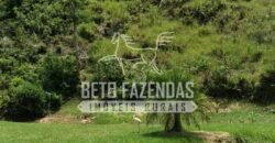 Fazenda com Cachoeira Exclusiva 45 alqueires Potencial Turístico | Silva Jardim/ RJ