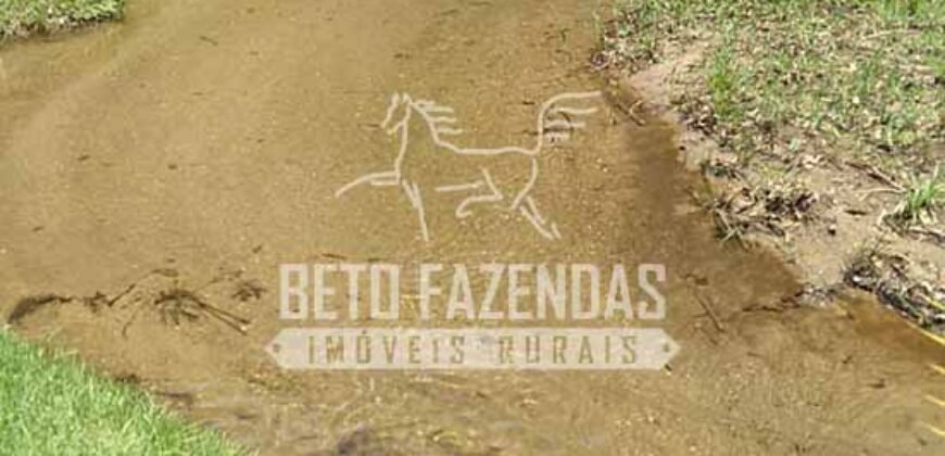 Fazenda com Cachoeira Exclusiva 45 alqueires Potencial Turístico | Silva Jardim/ RJ