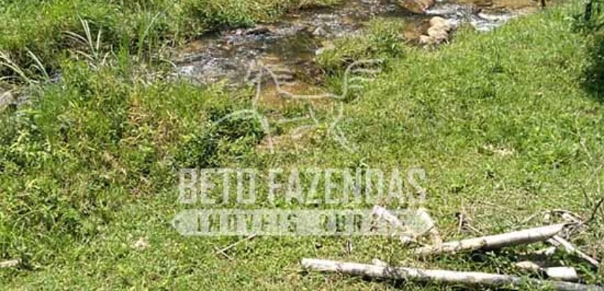 Fazenda com Cachoeira Exclusiva 45 alqueires Potencial Turístico | Silva Jardim/ RJ