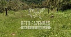 Fazenda com Cachoeira Exclusiva 45 alqueires Potencial Turístico | Silva Jardim/ RJ