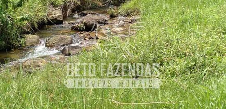 Fazenda com Cachoeira Exclusiva 45 alqueires Potencial Turístico | Silva Jardim/ RJ