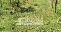 Fazenda com Cachoeira Exclusiva 45 alqueires Potencial Turístico | Silva Jardim/ RJ