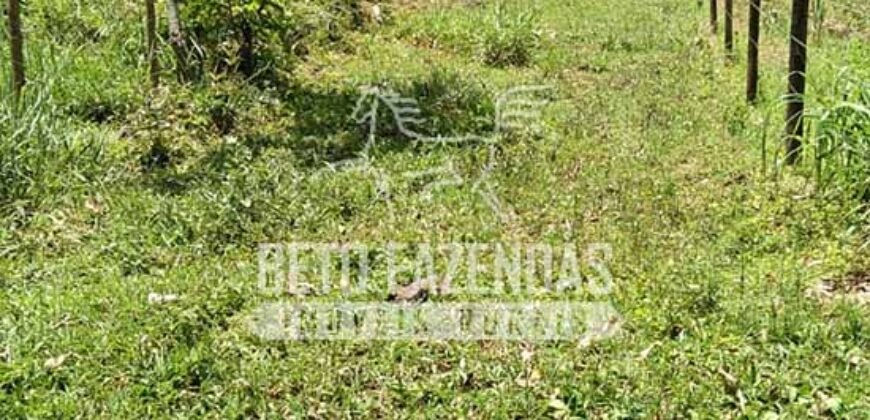 Fazenda com Cachoeira Exclusiva 45 alqueires Potencial Turístico | Silva Jardim/ RJ