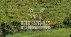 Fazenda com Cachoeira Exclusiva 45 alqueires Potencial Turístico | Silva Jardim/ RJ