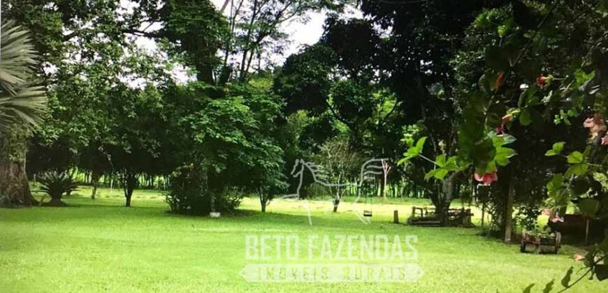 Fazenda Produtiva 19 Alqueires Dupla Aptidão Diversificação de Renda | Silva Jardim/ RJ