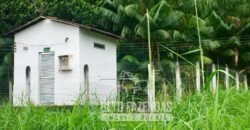 Fazenda Produtiva 19 Alqueires Dupla Aptidão Diversificação de Renda | Silva Jardim/ RJ