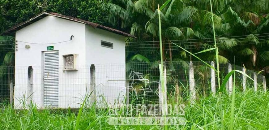 Fazenda Produtiva 19 Alqueires Dupla Aptidão Diversificação de Renda | Silva Jardim/ RJ