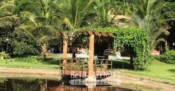 Fazenda Produtiva 19 Alqueires Dupla Aptidão Diversificação de Renda | Silva Jardim/ RJ