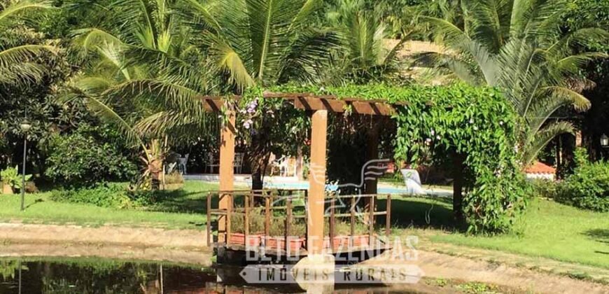 Fazenda Produtiva 19 Alqueires Dupla Aptidão Diversificação de Renda | Silva Jardim/ RJ