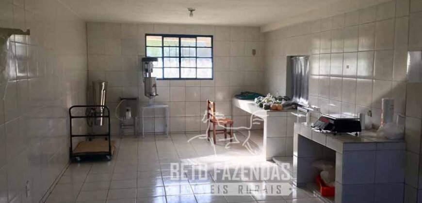 Fazenda Produtiva 19 Alqueires Dupla Aptidão Diversificação de Renda | Silva Jardim/ RJ