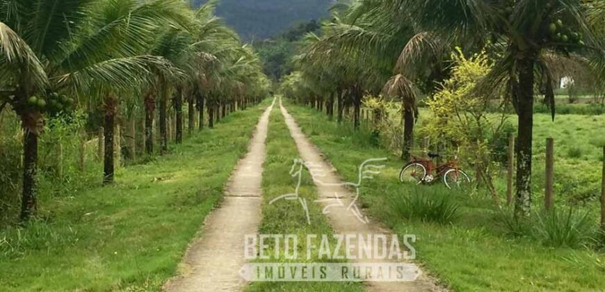 Fazenda Produtiva 19 Alqueires Dupla Aptidão Diversificação de Renda | Silva Jardim/ RJ