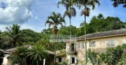 Fazenda Produtiva 19 Alqueires Dupla Aptidão Diversificação de Renda | Silva Jardim/ RJ