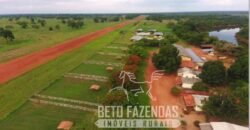 Fazenda Excepcional 17.602 Hectares Dupla Aptidão Infraestrutura Completa no Tocantins