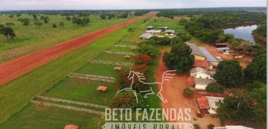 Fazenda Excepcional 17.602 Hectares Dupla Aptidão Infraestrutura Completa no Tocantins