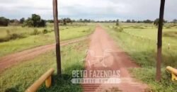 Fazenda Excepcional 17.602 Hectares Dupla Aptidão Infraestrutura Completa no Tocantins
