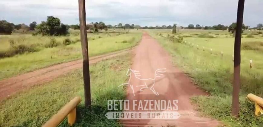 Fazenda Excepcional 17.602 Hectares Dupla Aptidão Infraestrutura Completa no Tocantins