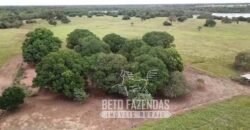 Fazenda Excepcional 17.602 Hectares Dupla Aptidão Infraestrutura Completa no Tocantins